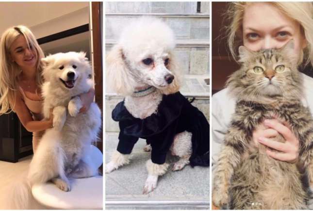 (FOTO) Iată ce animale de companie au vedetele autohtone