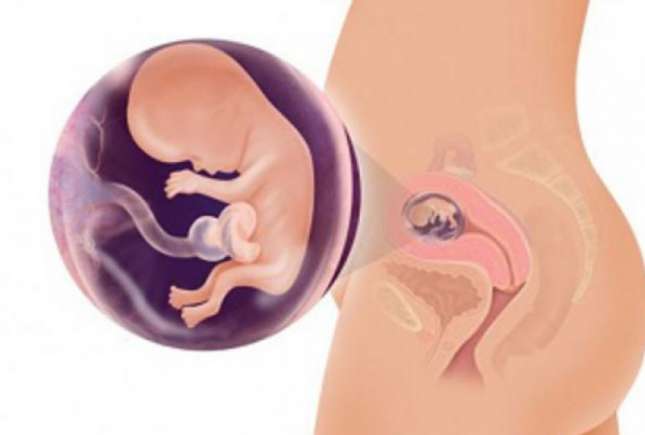 Medic obstetrician-ginecolog: Cele mai importante riscuri și pericole din primul trimestru de sarcină