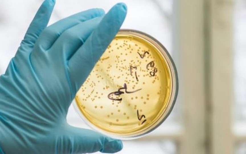 Streptococ B în primul trimestru de sarcină: poți remedia problema?