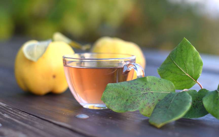 Ceaiul de gutui scade tensiunea şi colesterolul. Iată cum îl prepari!