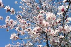 Activități de weekend, 14-15 aprilie 2018