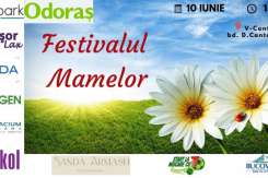 Vă invităm la prima șezătoare dedicată părinților din această vară!