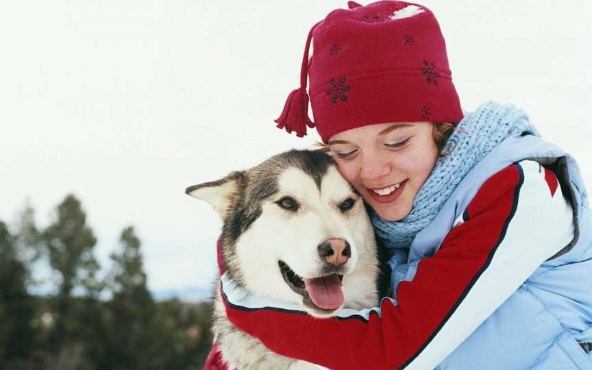 Activități de weekend 25-26 februarie 2017