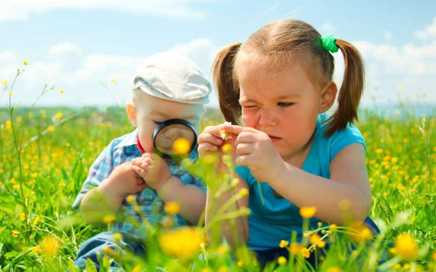 Activități de weekend, 5-6 august 2017