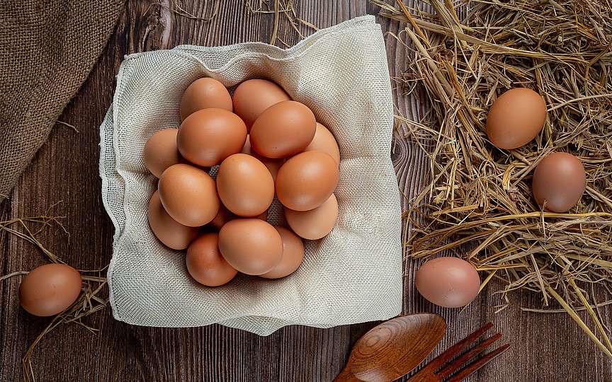 Ouăle de crescătorie: Beneficii reale sau doar marketing scump? Adevărul despre ouăle free-range și convenționale