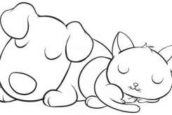 Animale domestice