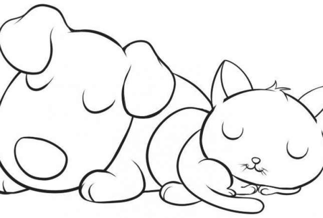 Animale domestice