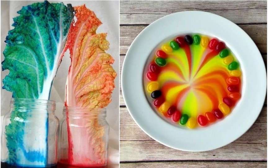 7 experimente interesante pentru copilul tău. Trebuie să le încerce!