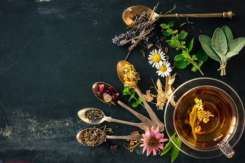 8 ceaiuri care pot înlocui cafeaua. Cum trebuie să le prepari