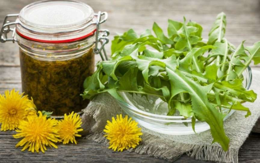 Cum putem folosi păpădia în bucătărie – 10 utilizări nebănuite