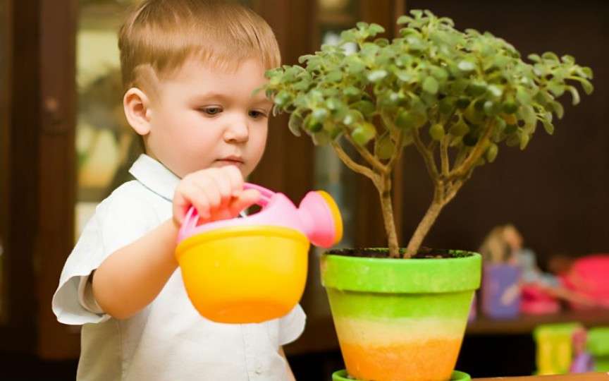 De ce să înveți copiii să cultive plante
