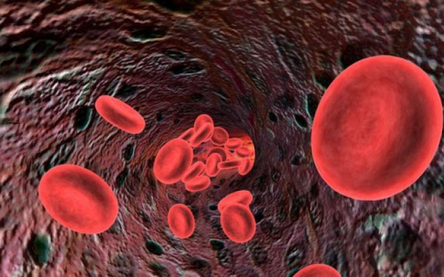 10 alimente care fac minuni pentru circulația sângelui. Sunt bune și la dietă, îți dau energie