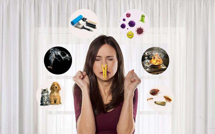 Trucul din două ingrediente care te scapă de mirosurile neplăcute din casă – Simplu și ieftin!