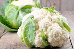 Conopida – un puternic antioxidant cu numeroase beneficii