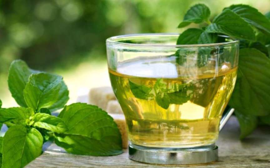 MENTA - remediu natural pentru întreaga familie