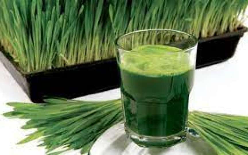 Sucul supranumit „sângele verde”, remediu natural pentru întinerirea ficatului