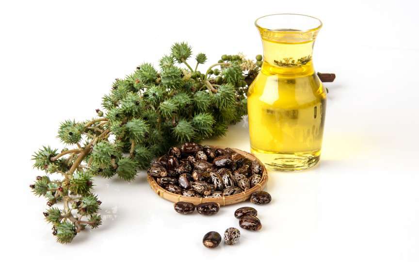 Uleiul de ricin - ingredientul care regenerează părul, genele și sprâncenele