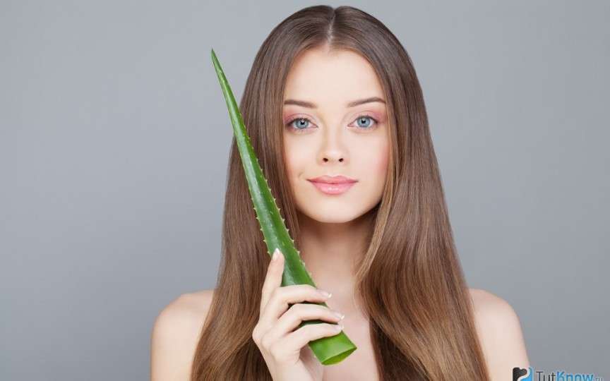 Mască pentru păr cu aloe vera: beneficii şi modalitate de pregătire