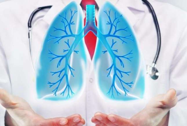 Top 9 plante care susțin sănătatea plămânilor