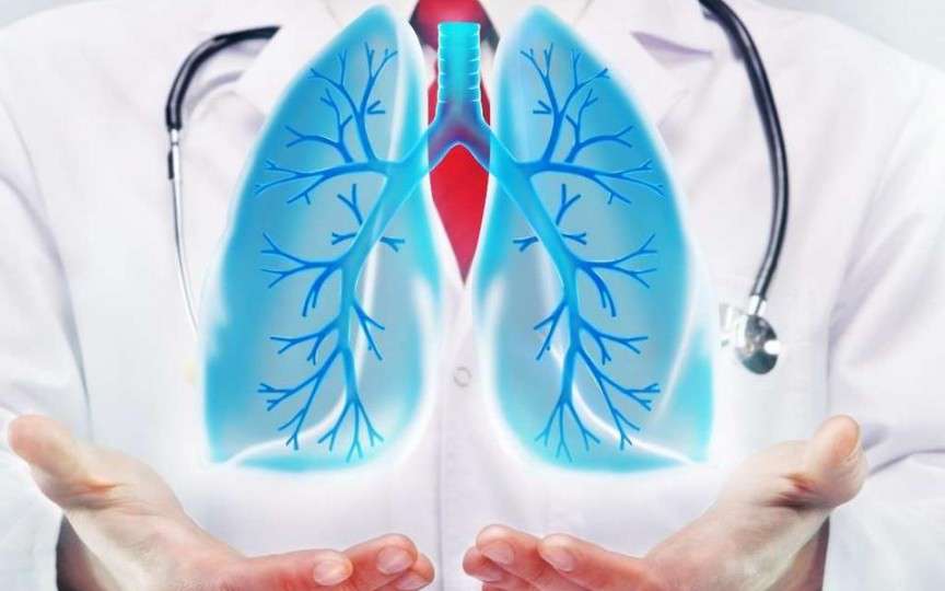Top 9 plante care susțin sănătatea plămânilor