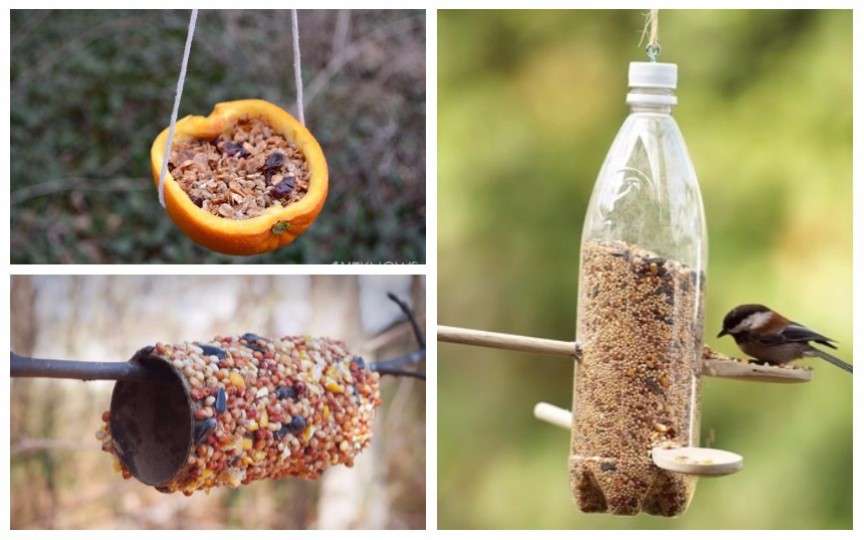 Idei de hrănitoare pentru păsări pe care să le faceți împreună cu copilul