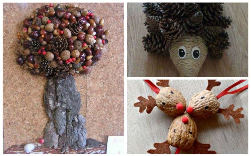 20+ de aplicații din frunze, conuri, castane, coji de nucă și alte materiale de toamnă