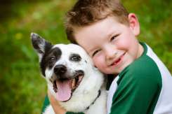 Animalul de companie, medicamentul perfect pentru copiii hiperactivi