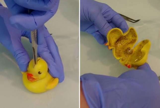 Pericolul răţuştelor de plastic din baie