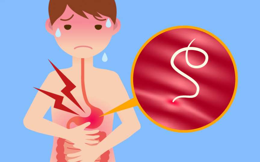 Medic gastroenterolog despre paraziții la copii: Viermii adulți, care se reproduc, pot depăși 30 cm lungime