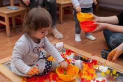 Rolul esențial al educației în primele 1000 de zile de viață a copilului