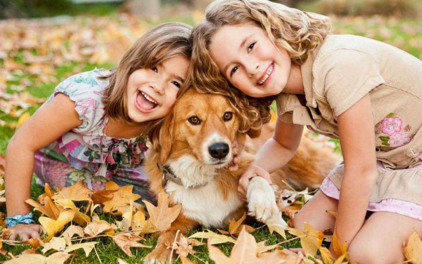 11 fotografii care arată că cei mici ar trebui să aibă un câine
