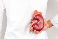 7 alimente care ne mențin rinichii sănătoși