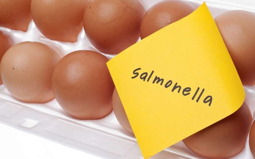 Infecția cu Salmonella, la copii: cauze, simptome și tratament