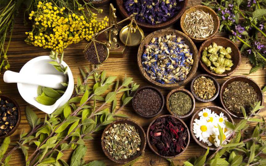 Nu poți concepe un copil? Iată plantele care combat amenoreea și sporesc fertilitatea