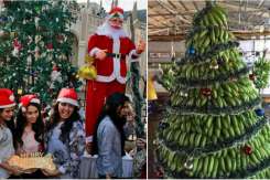 Ştiai că în India de Crăciun se împodobesc bananierii şi pomii de mango? Vezi tradițiile și altor țări!