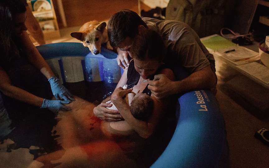 (FOTO) O naștere mai puțin obișnuită, la care asistă câinele gravidei