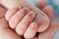 Specialist renumit FIV: Fertilizarea in vitro ar trebui să fie ultima opţiune a unui cuplu, nu prima