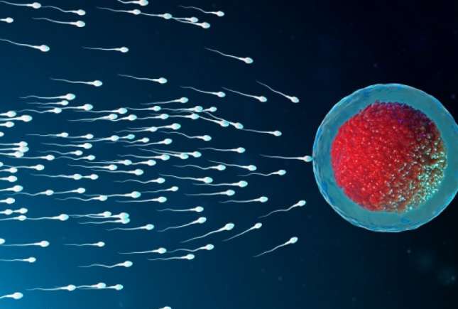 Top 6 factori care reduc capacitatea reproductivă a bărbaților