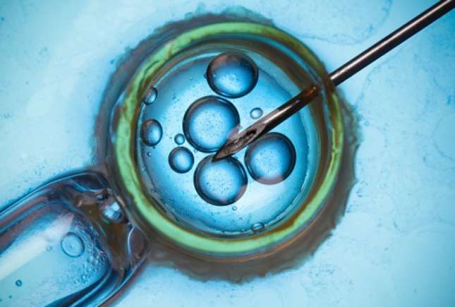 Fertilizarea in vitro (FIV): scop, rata de succes, stadii