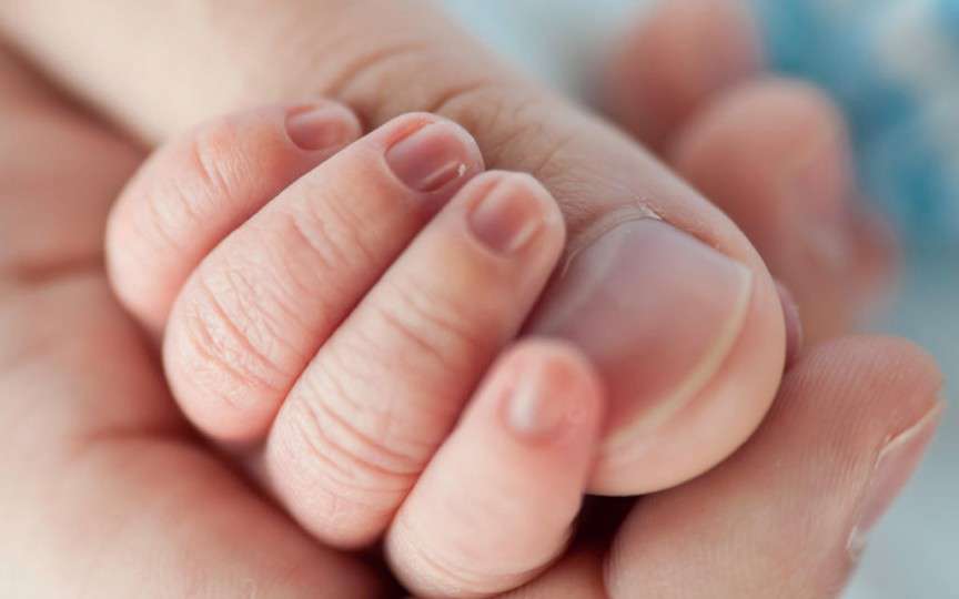 Specialist renumit FIV: Fertilizarea in vitro ar trebui să fie ultima opţiune a unui cuplu, nu prima