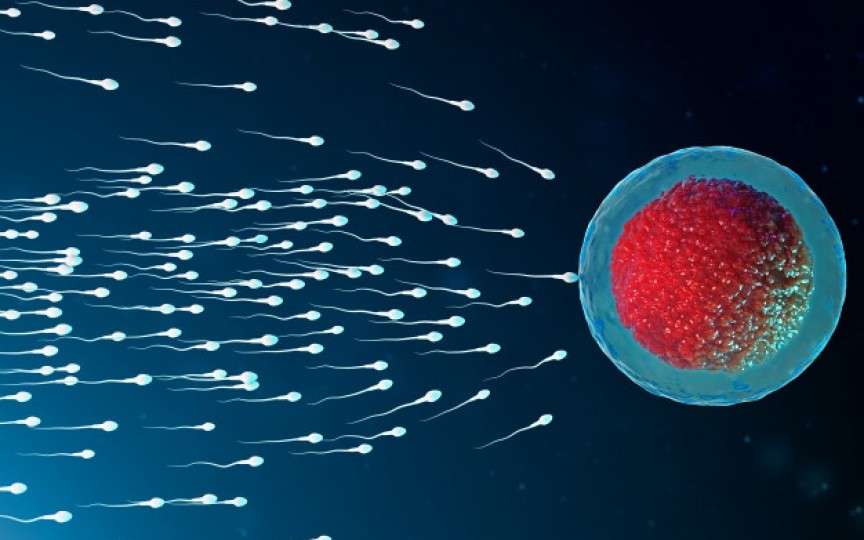 Top 6 factori care reduc capacitatea reproductivă a bărbaților