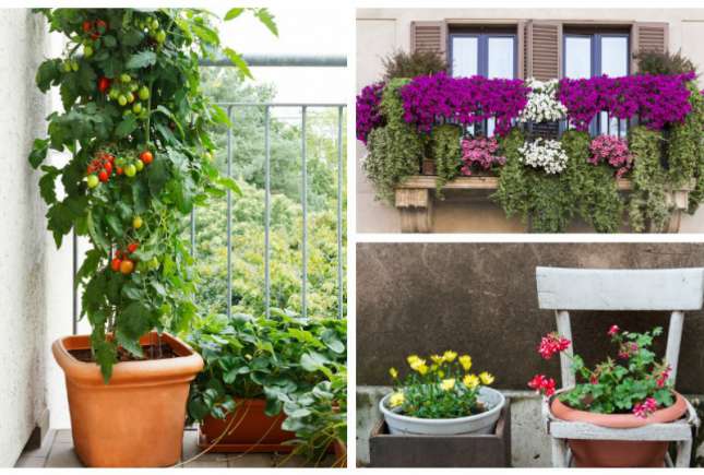 9 moduri originale să faci o grădină la balcon sau chiar în apartament