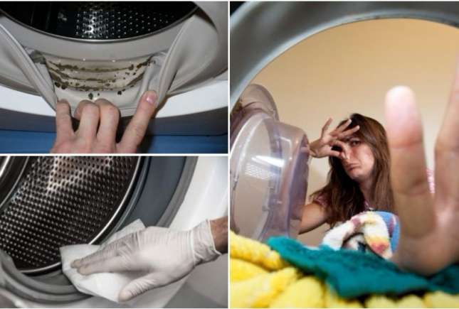 Mașina de spălat poate fi gazda perfectă pentru bacterii. Mirosul neplăcut e primul indice