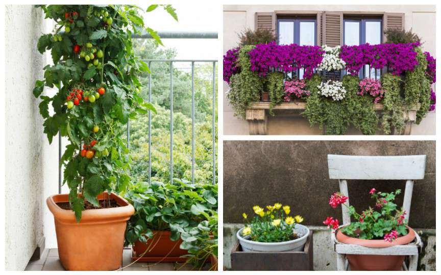 9 moduri originale să faci o grădină la balcon sau chiar în apartament