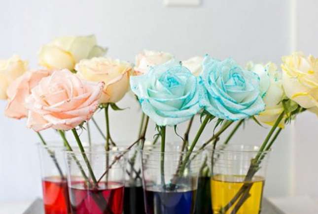 Experiment: Facem floricele colorate