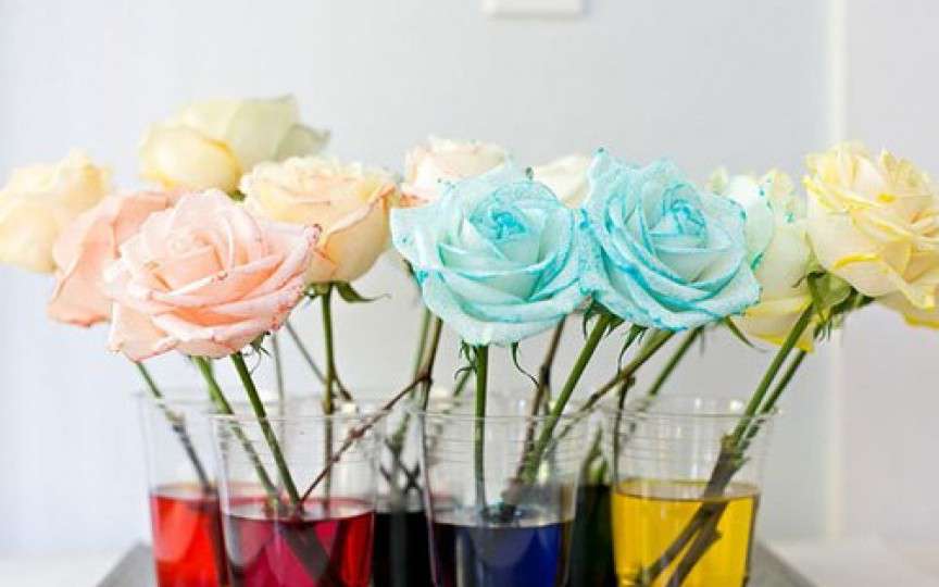 Experiment: Facem floricele colorate