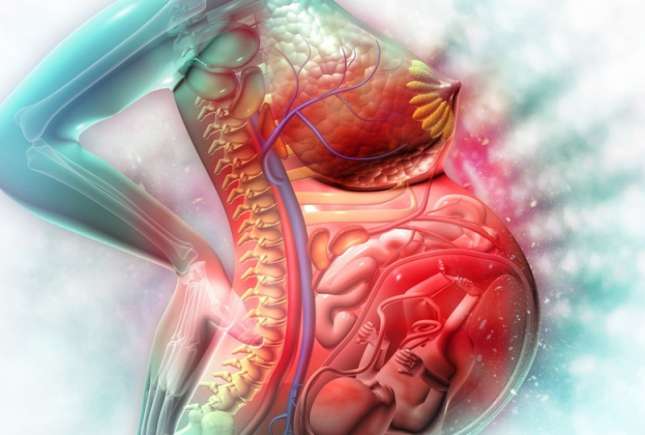 4 Factori surprinzători care influențează dezvoltarea intrauterină