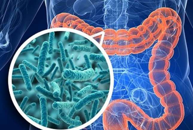 Microbiomul: ce este și cum îi susții sănătatea – ce știm și ce rămâne neclar