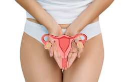Hormonul antimullerian: rolul său în sănătatea reproductivă și fertilitate