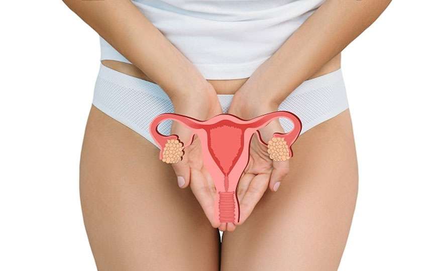 Hormonul antimullerian: rolul său în sănătatea reproductivă și fertilitate